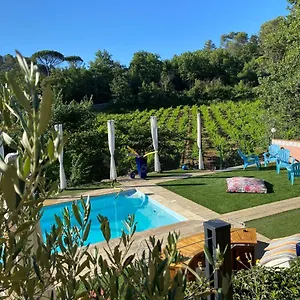 Frühstückspension La Vie Est Belle En Provence, Tourves